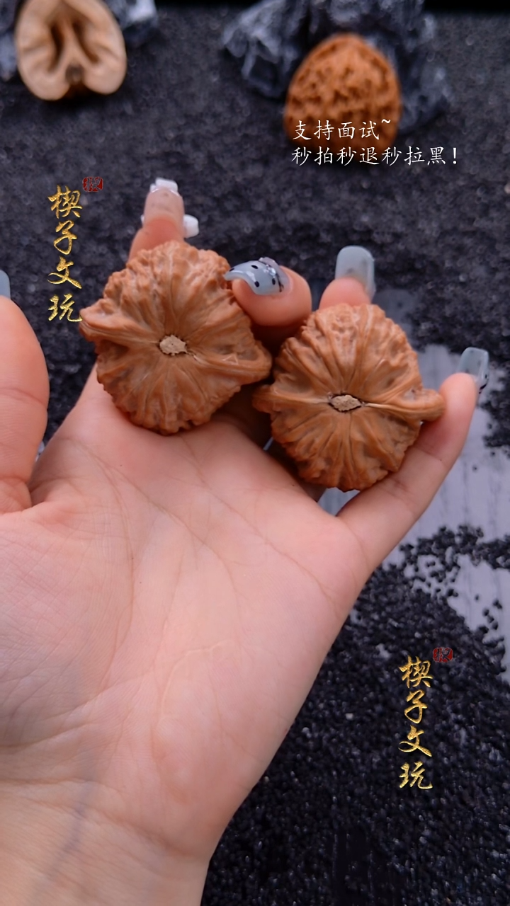 把件文玩核桃00248白狮子 边肚同尺40