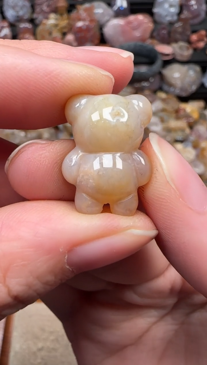 颈饰未镶嵌硅化珊瑚（珊瑚玉）322