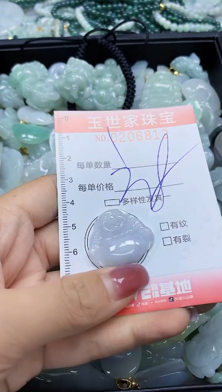 【闪购商品】翡翠颈饰未镶嵌闪购0206812