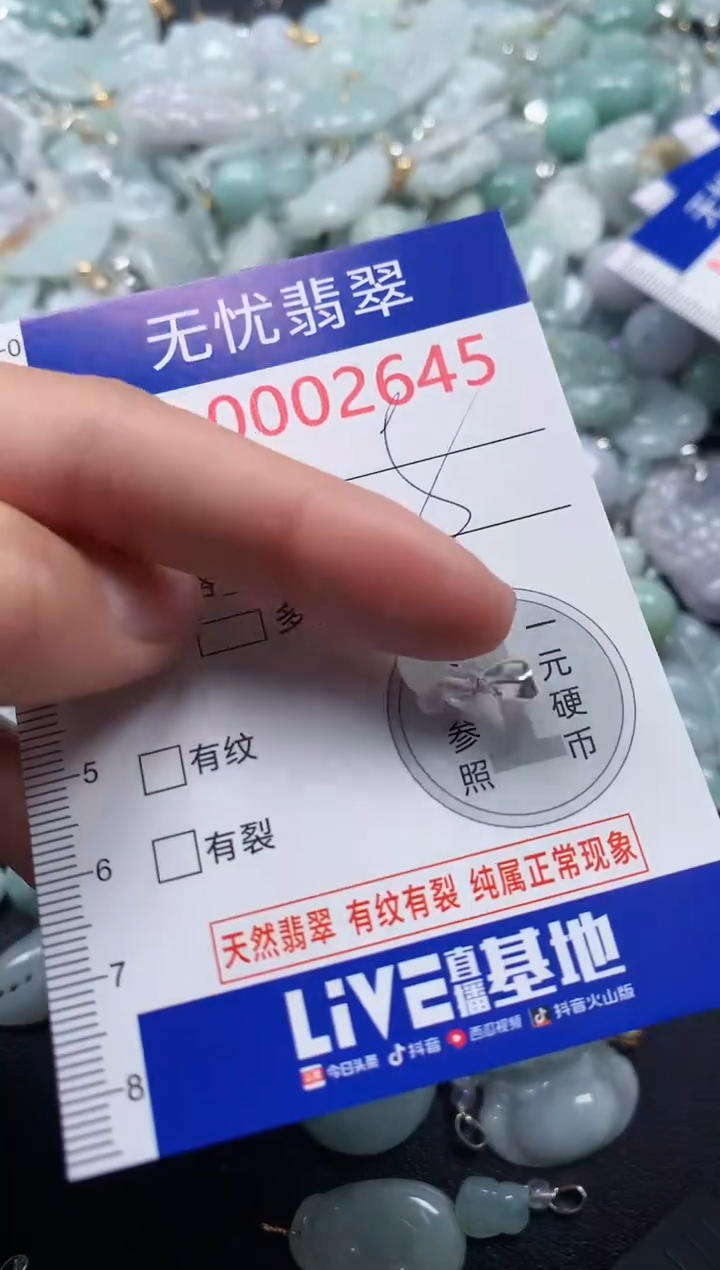 颈饰未镶嵌翡翠2645