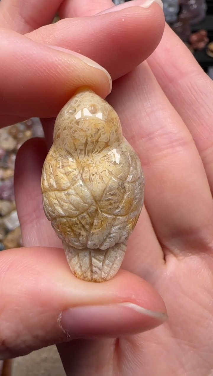 颈饰未镶嵌硅化珊瑚（珊瑚玉）410