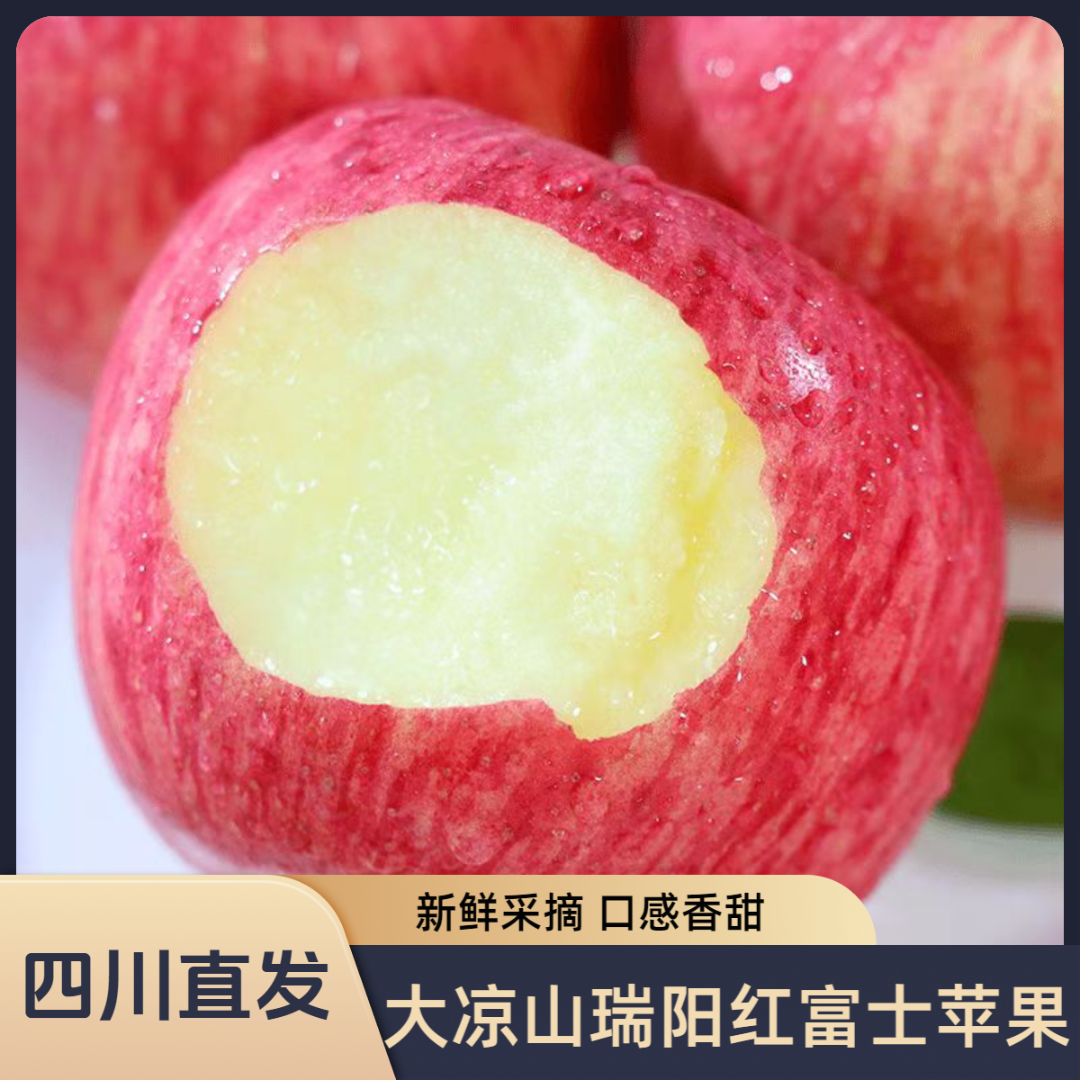 【精品果】大凉山红富士苹果现摘现发 新鲜