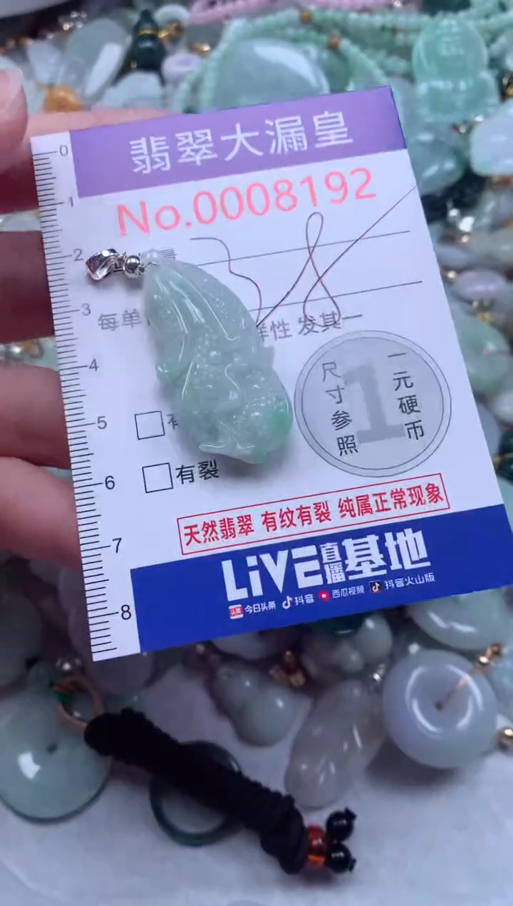 翡翠未镶嵌吊坠(不含链)8192