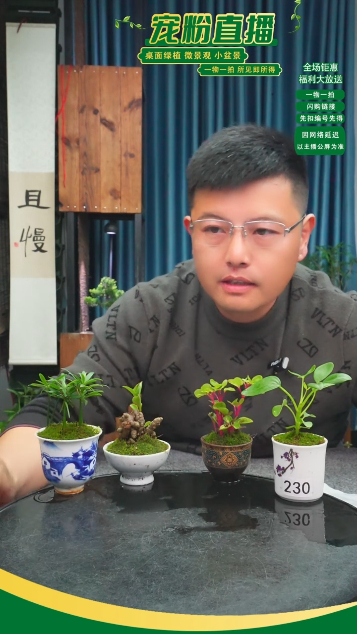 无花朵?****✨苔藓微景观230号