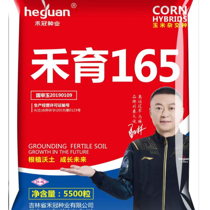 禾育165 玉米杂交种