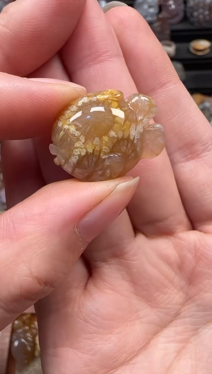 颈饰未镶嵌硅化珊瑚（珊瑚玉）188