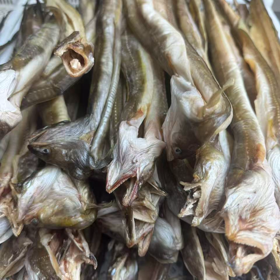 烟台发货 鳝鱼干 野生鳝鱼海边晾晒 顺丰速运