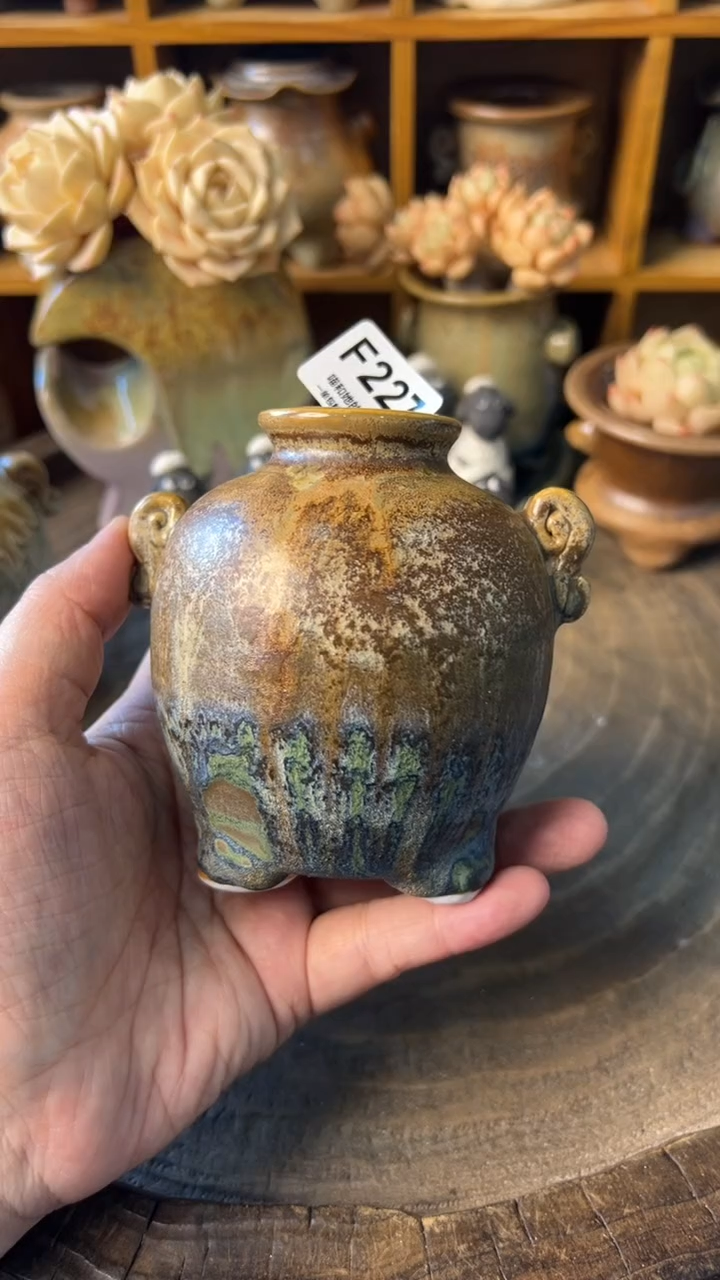 朝**夕227【多肉花盆多肉盆】