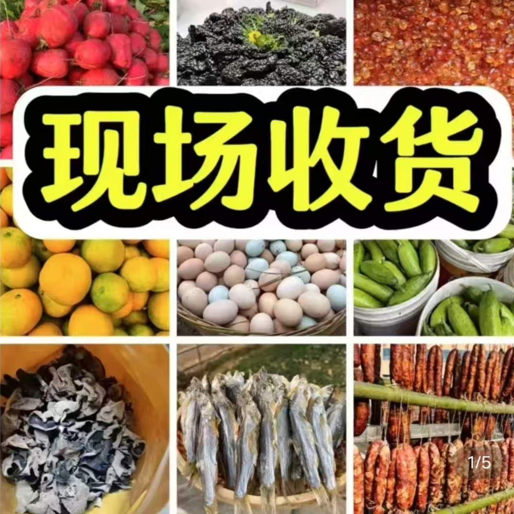 【山菜专属】现场直播赶集收山货初级农产品老乡自产自销
