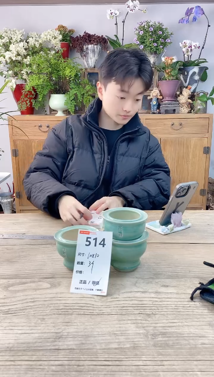 小玩子花盆直播编号514