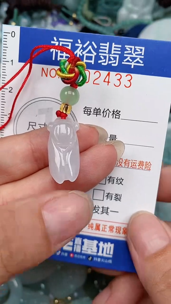 翡翠未镶嵌颈饰...0002433