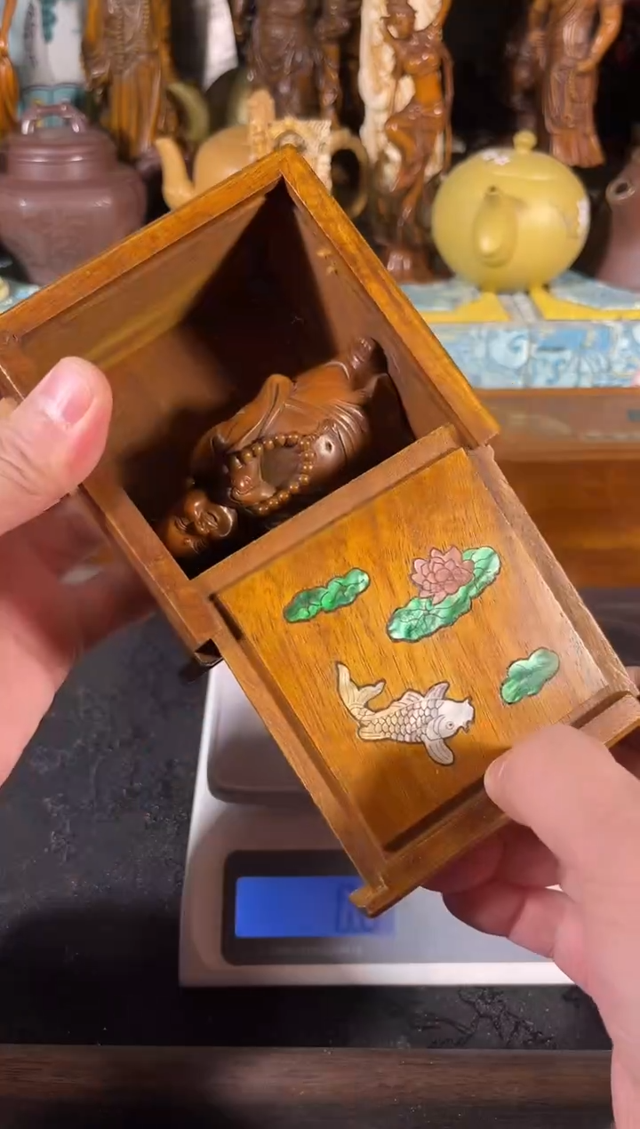 黄杨木111111111111111111