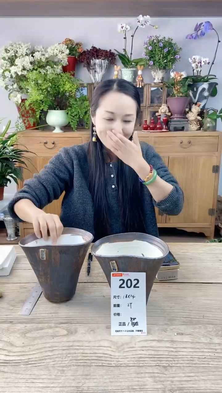 小玩子花盆直播编号202