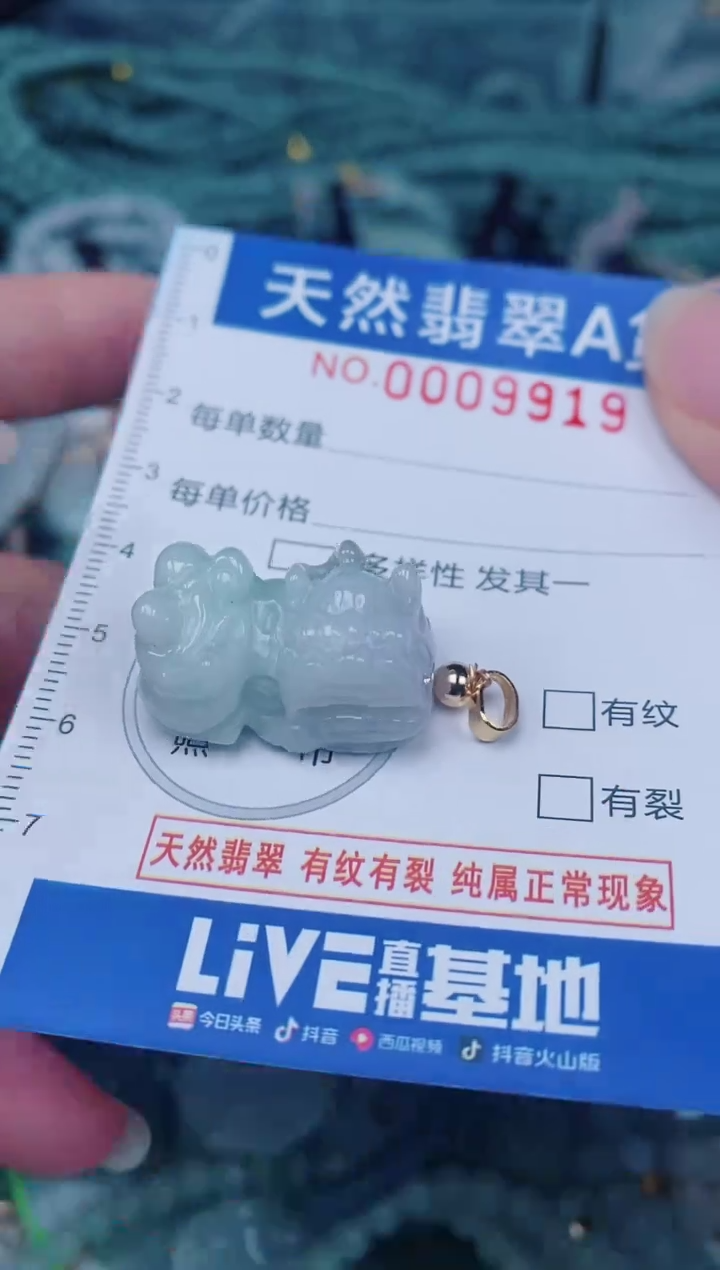 颈饰未镶嵌翡翠00009919