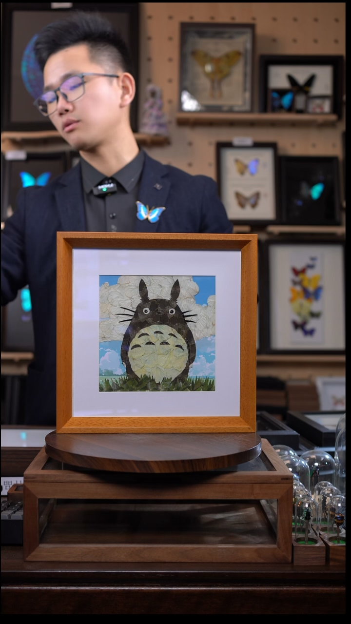 蝴蝶翅膀蝶翅画竞拍k24