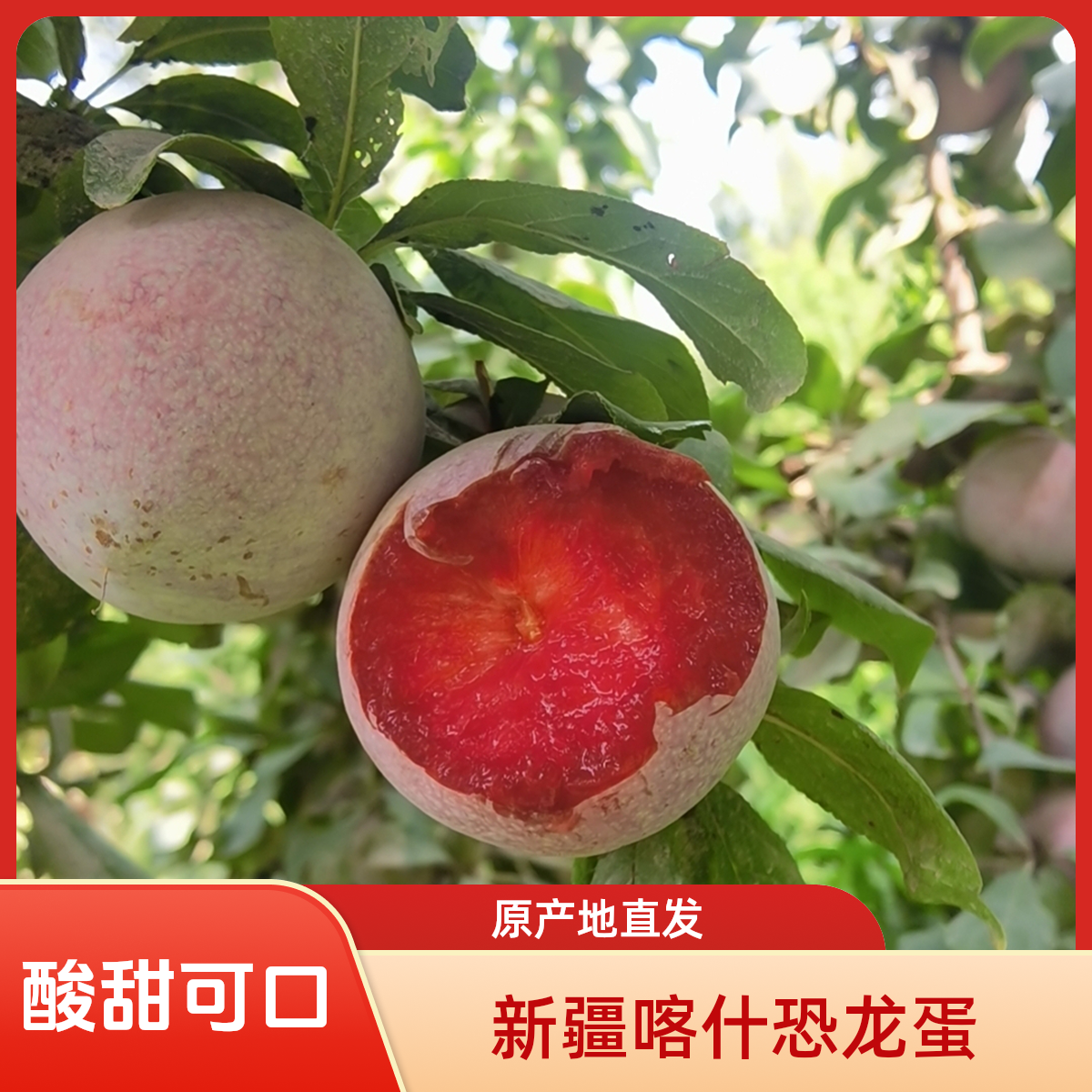 【树上已软介意者慎拍礼盒装】新疆恐龙蛋水果新疆本地特产桃子口感