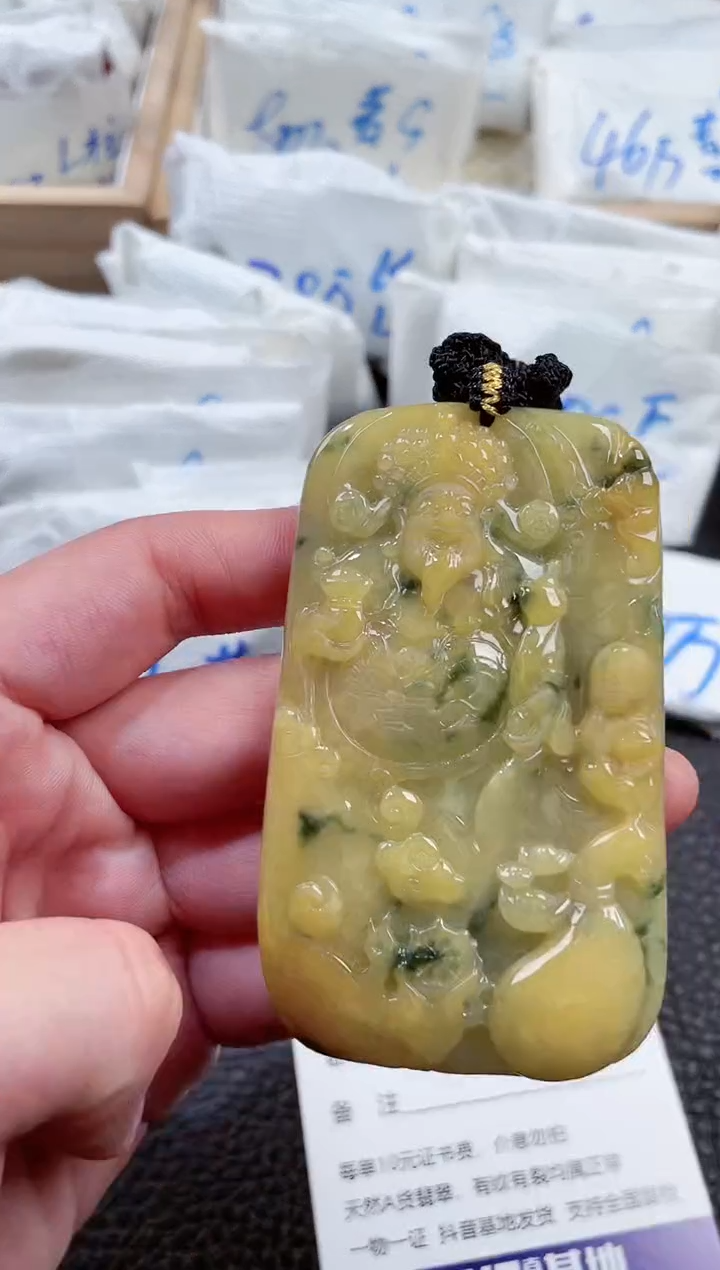 【闪购商品】翡翠颈饰未镶嵌00010864