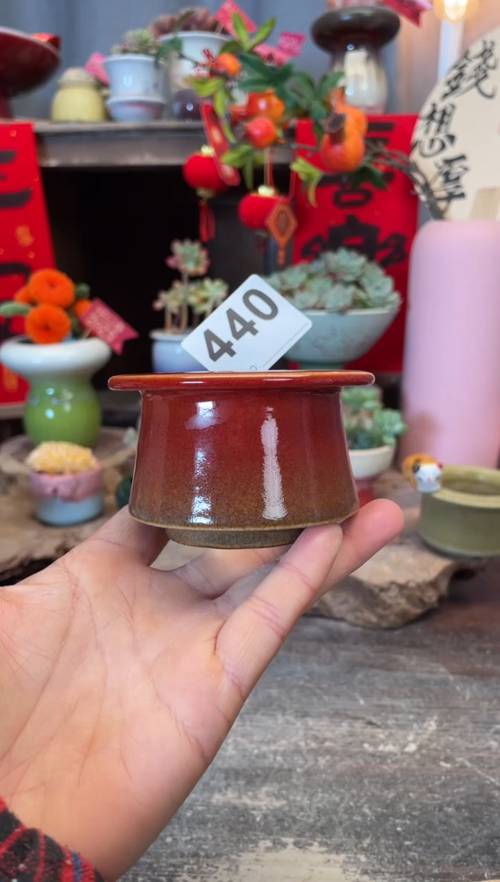 【闪购商品】摆件440知木小芳花盆