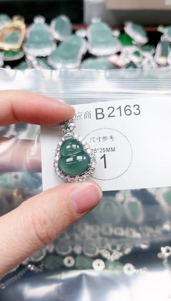 【闪购商品】翡翠颈饰未镶嵌赠皮绳2163