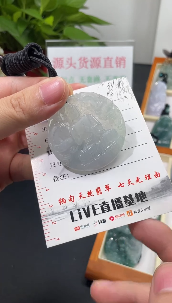 【闪购商品】翡翠颈饰未镶嵌大日