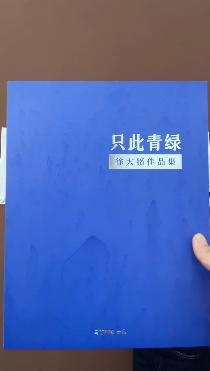 【闪购商品】书法画廊签约画家徐大铭画册