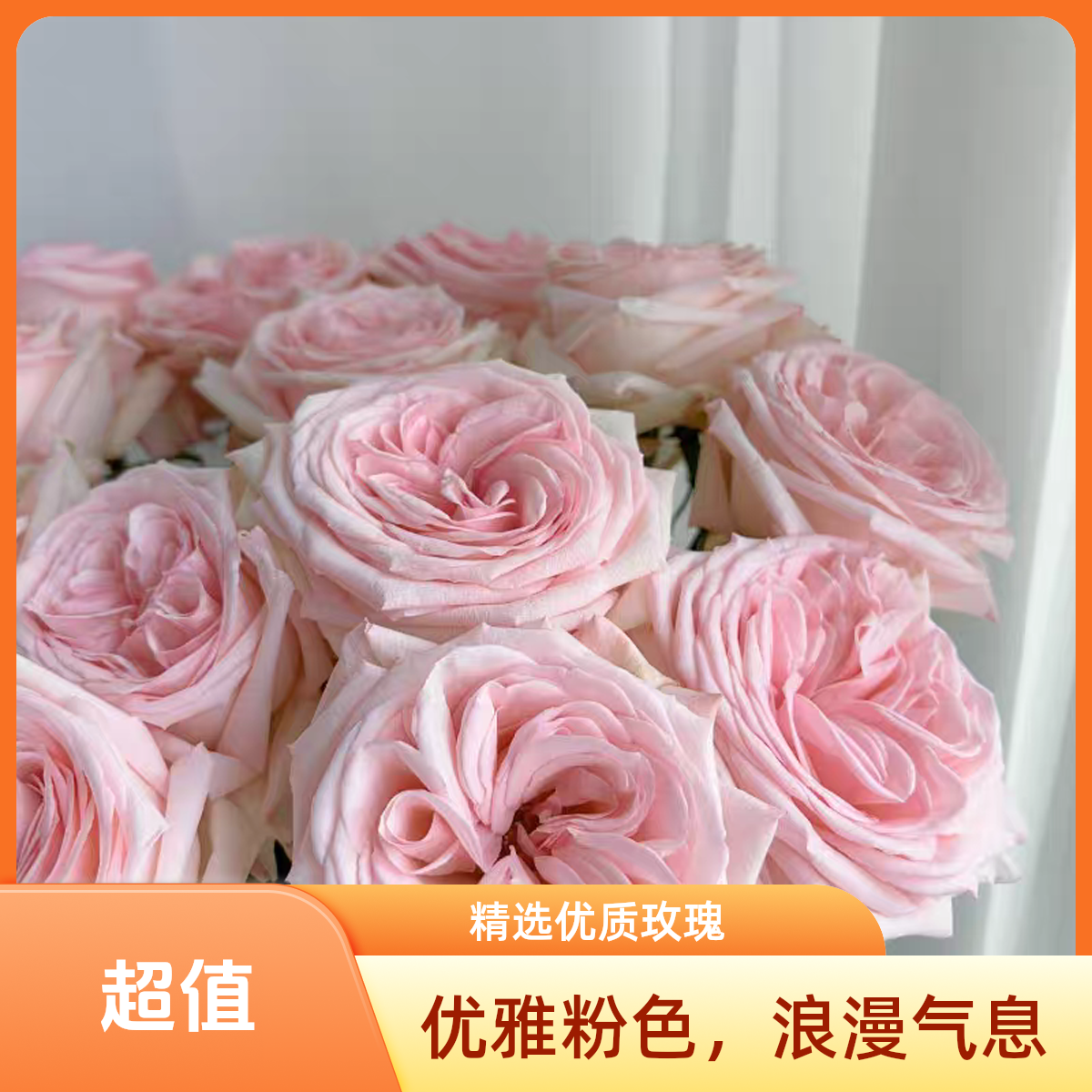 粉荔枝玫瑰 有荔枝香味的玫瑰 常州同城派送 1-2小时送达