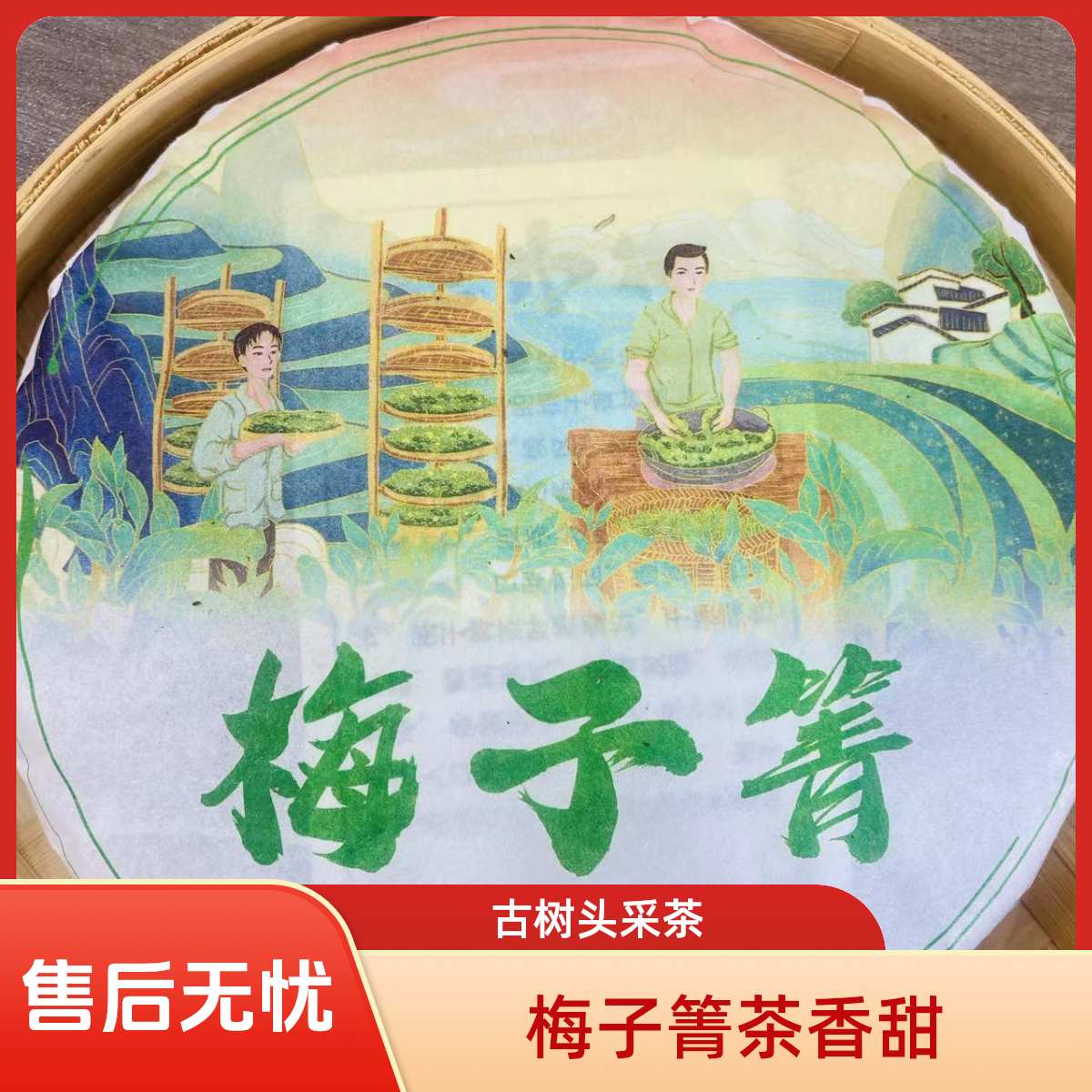 云南普洱茶】临沧产区2023年梅子箐古树头春头采357g（高回甘花蜜香