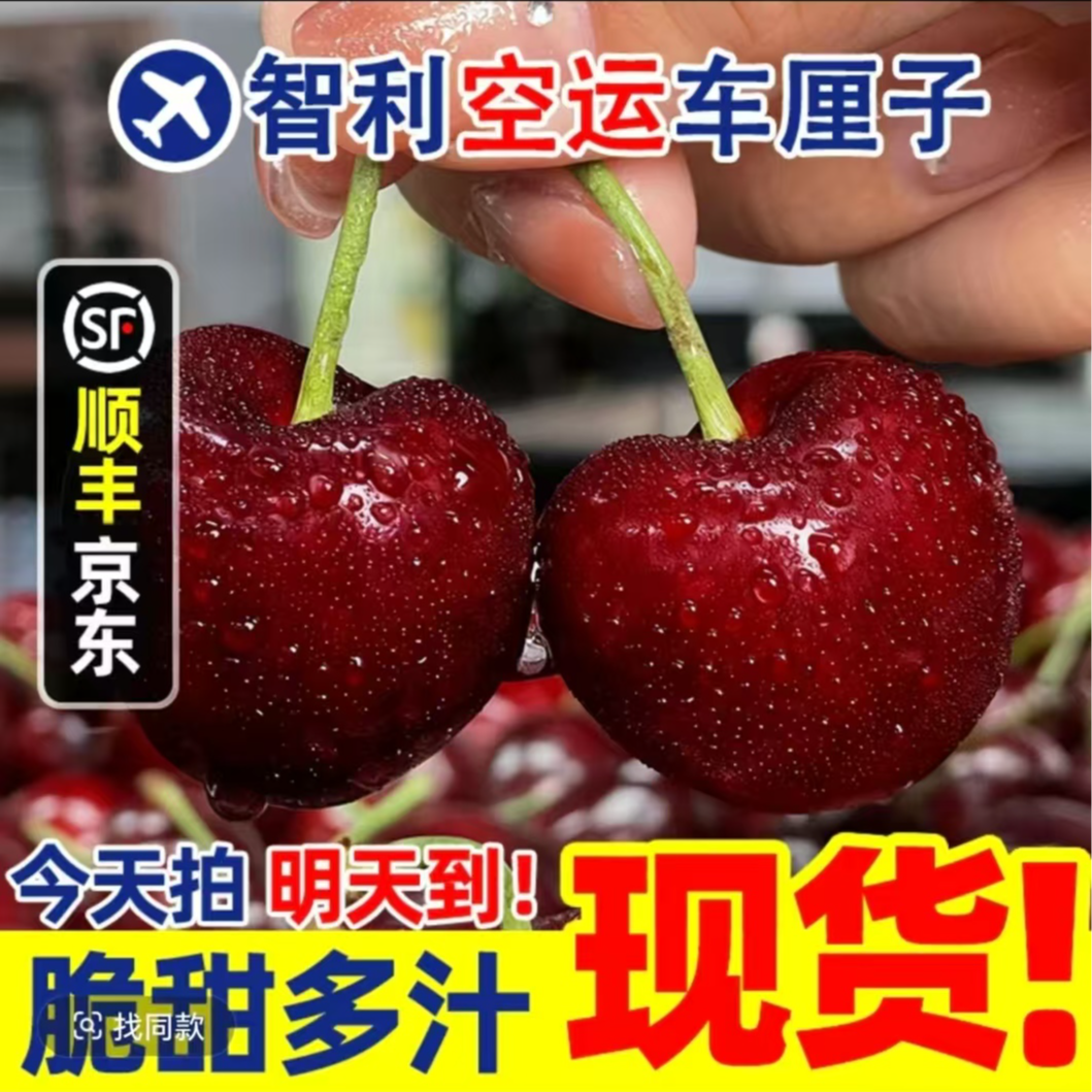 【今天拍明天到】智利进口空运车厘子3JD新鲜水果现货直发头茬内附果径卡礼盒装1.6斤桑提娜樱桃智利共和国
