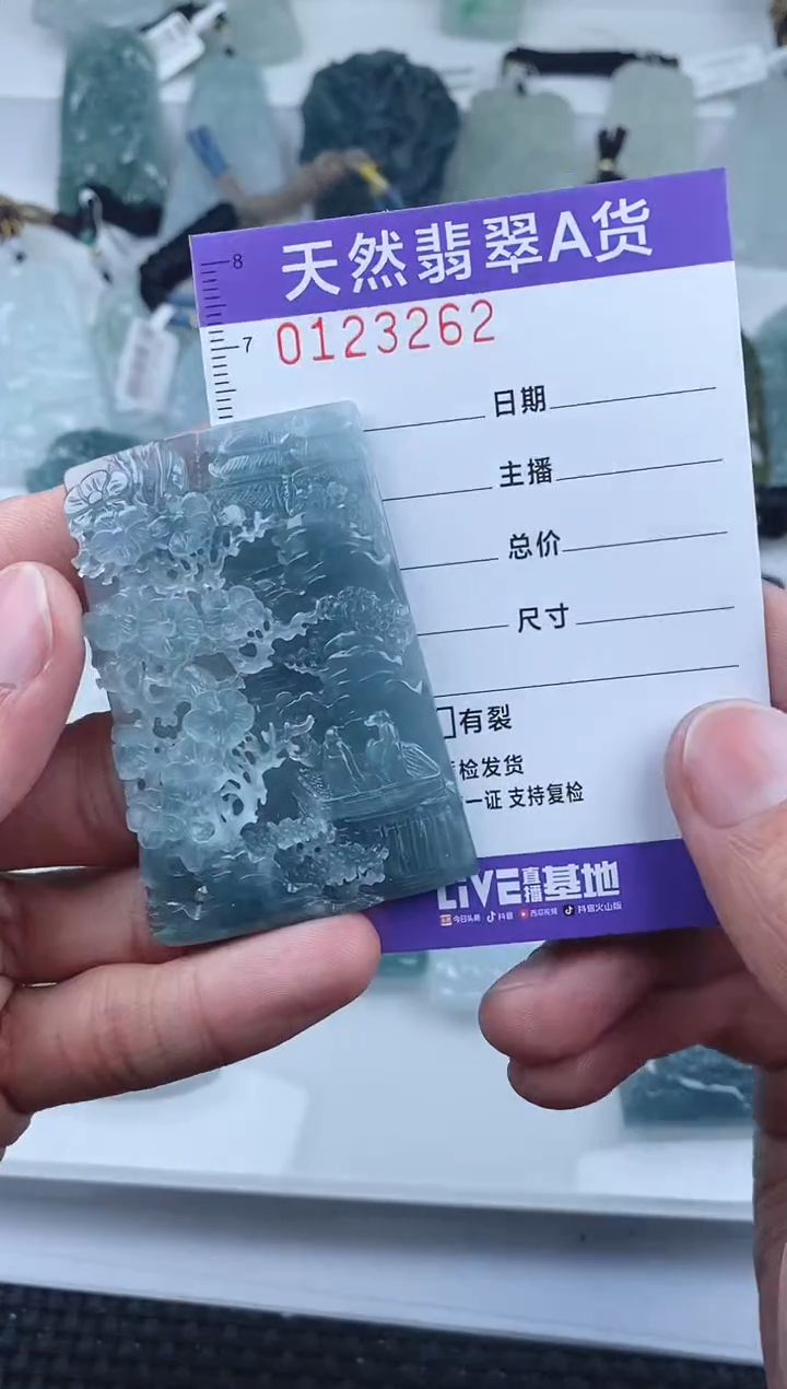 【闪购商品】翡翠颈饰未镶嵌        262