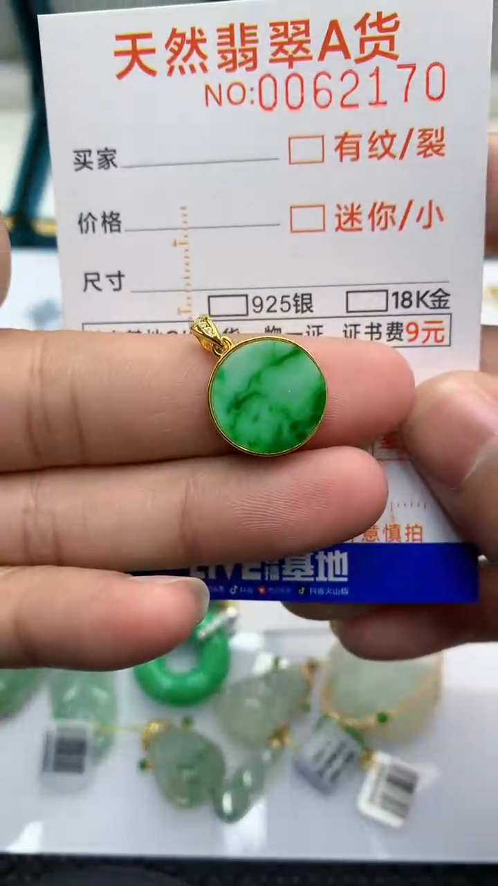 【闪购商品】翡翠颈饰银S925镶嵌            8