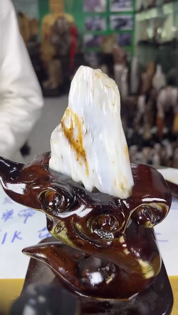 未镶嵌珠宝奇石硅化玉缅甸天然树化玉精品摆件