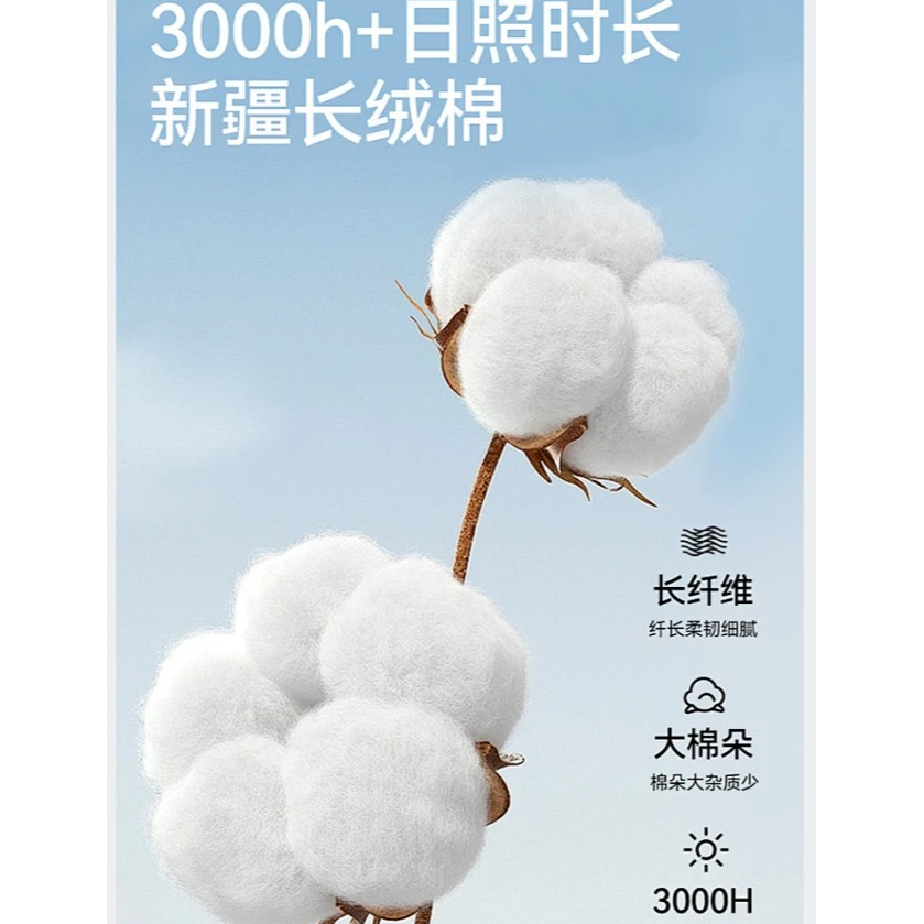 定制尺寸棉花被专用链接