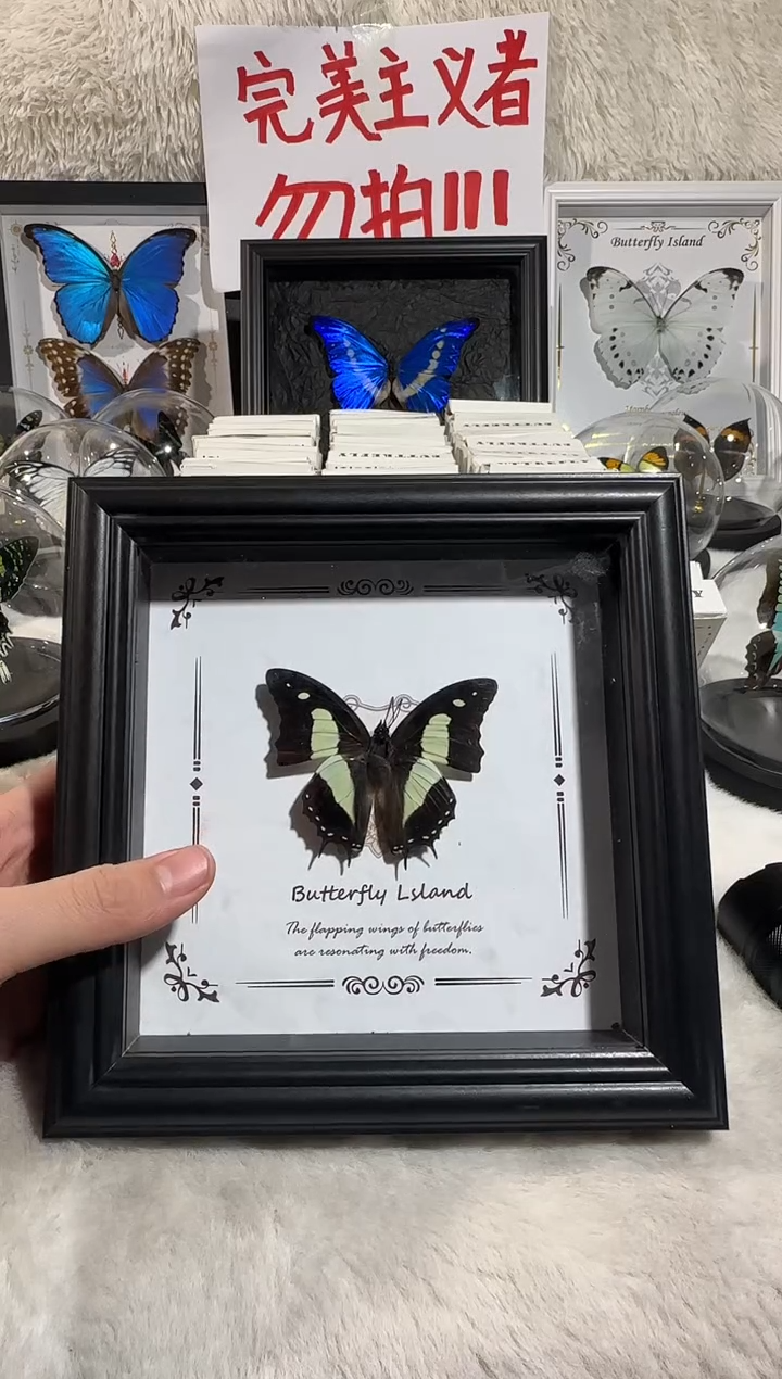 木窄版二尾蛱蝶6寸相框