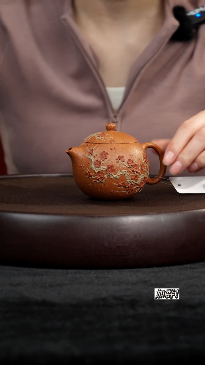 茶壶紫砂CCF913872降坡西施140c