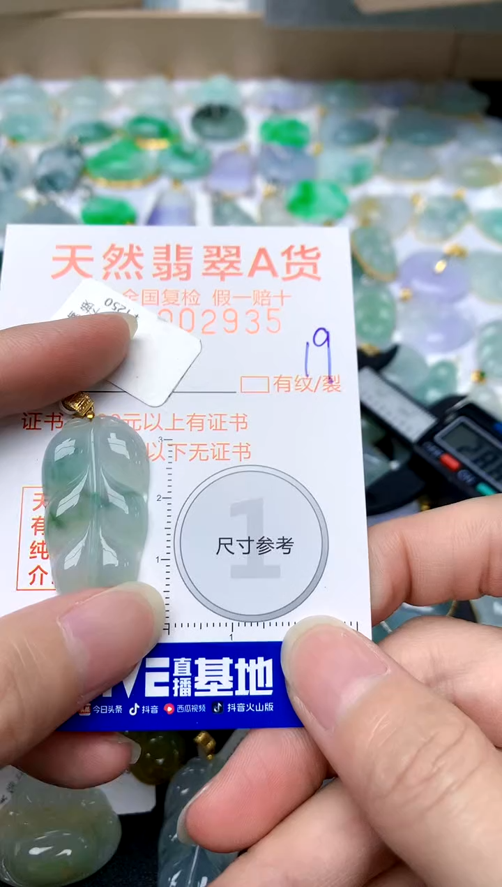 【闪购商品】翡翠颈饰18K金镶嵌19天然A货翡翠