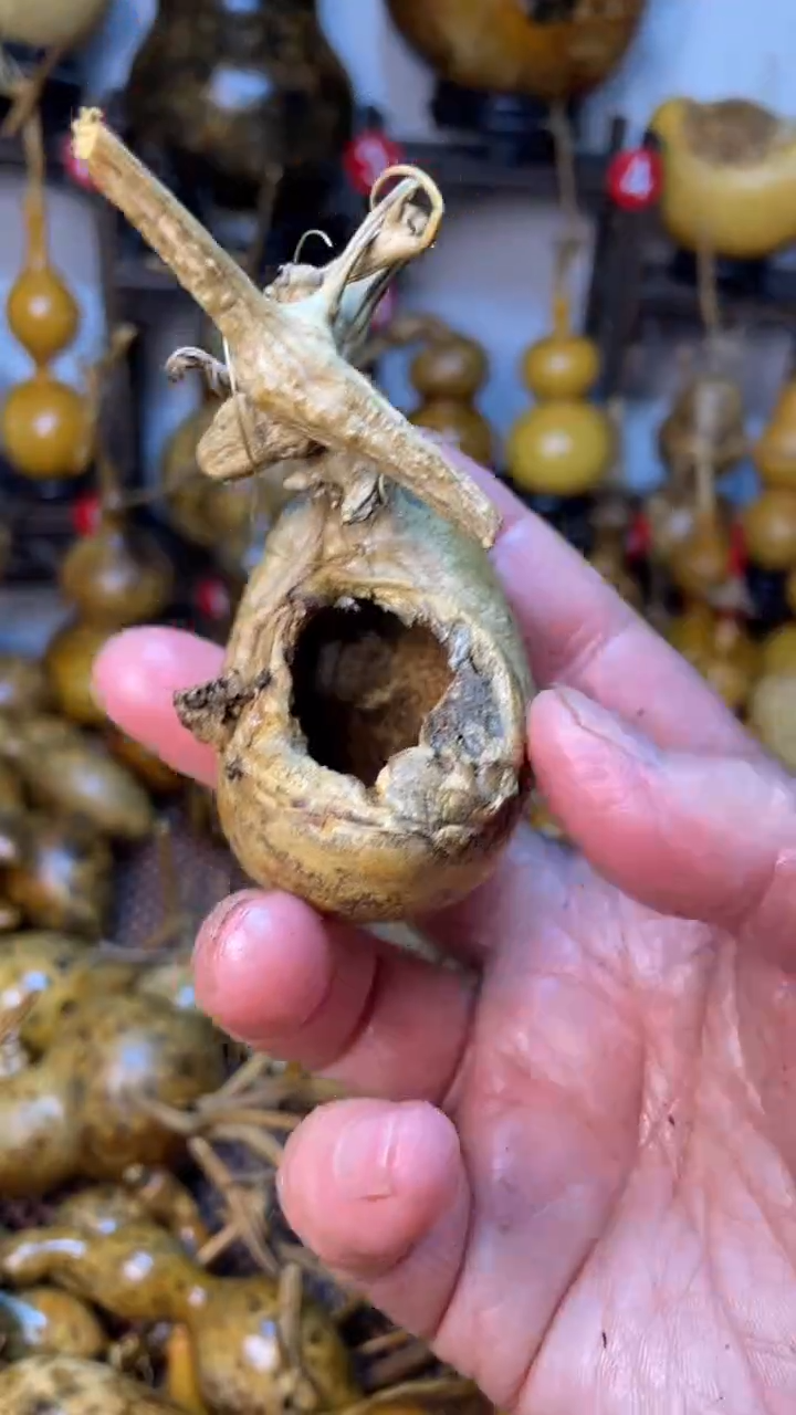 【闪购商品】葫芦葫芦葫芦葫芦葫芦葫芦