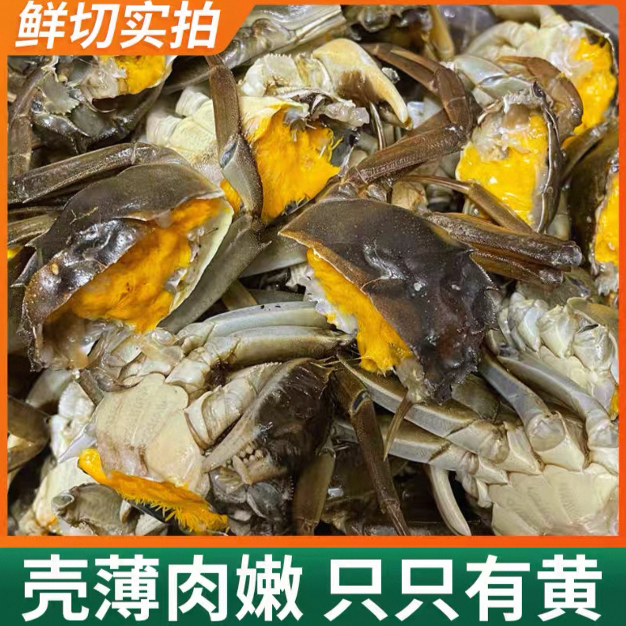 【精品六月黄螃蟹】鲜活现捕捞香辣蟹螃蟹顺丰发货