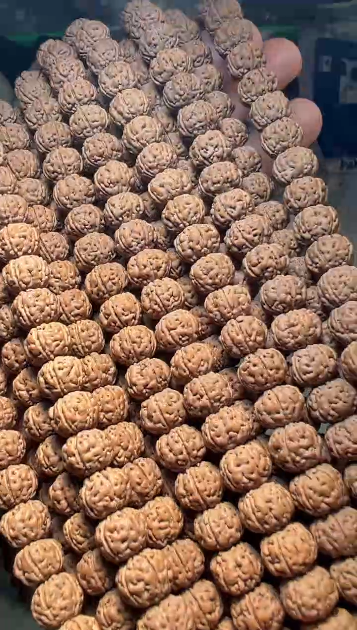 手串金刚菩提无利润超头精挑老树王108-11mm