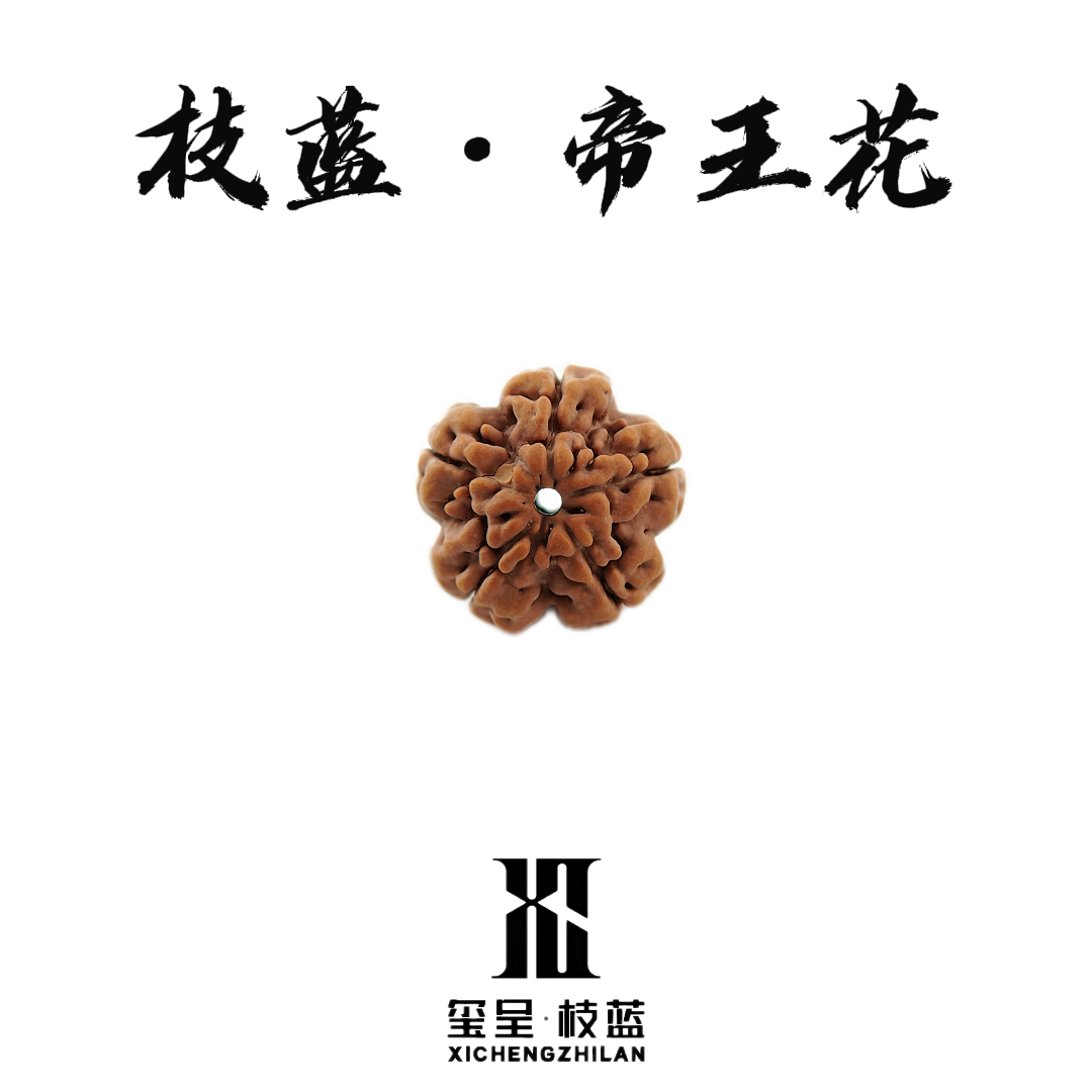 玺呈枝蓝帝王花金刚菩提