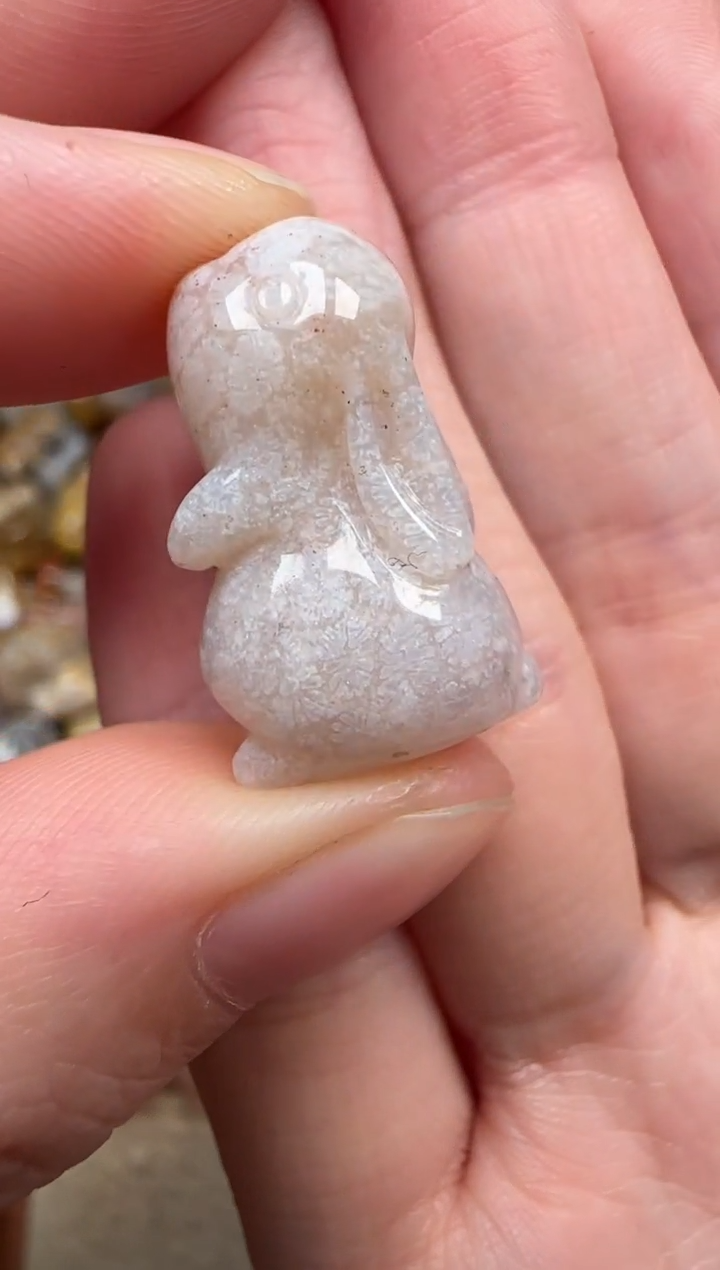 颈饰未镶嵌硅化珊瑚（珊瑚玉）861