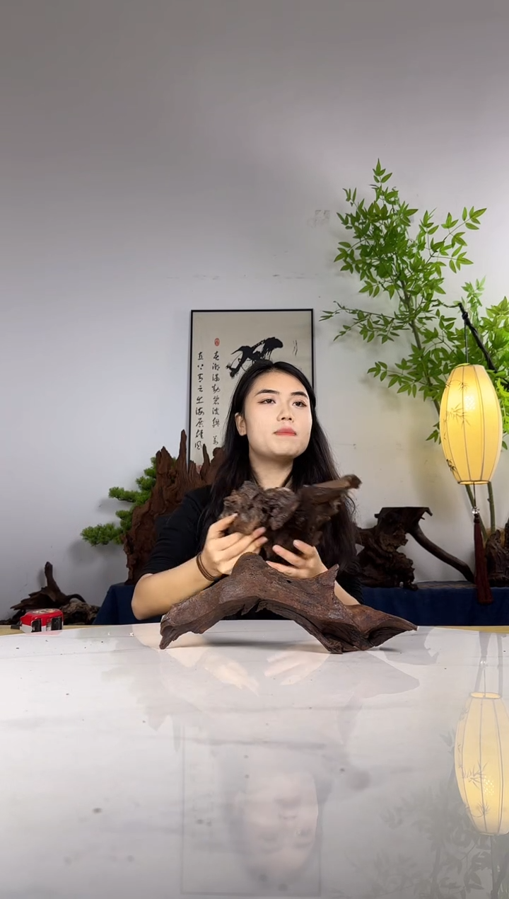 忘***路拍沉木定向链接编号76