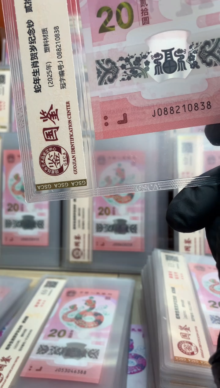 【闪购商品】塑料蛇钞 真钞【单张】0838