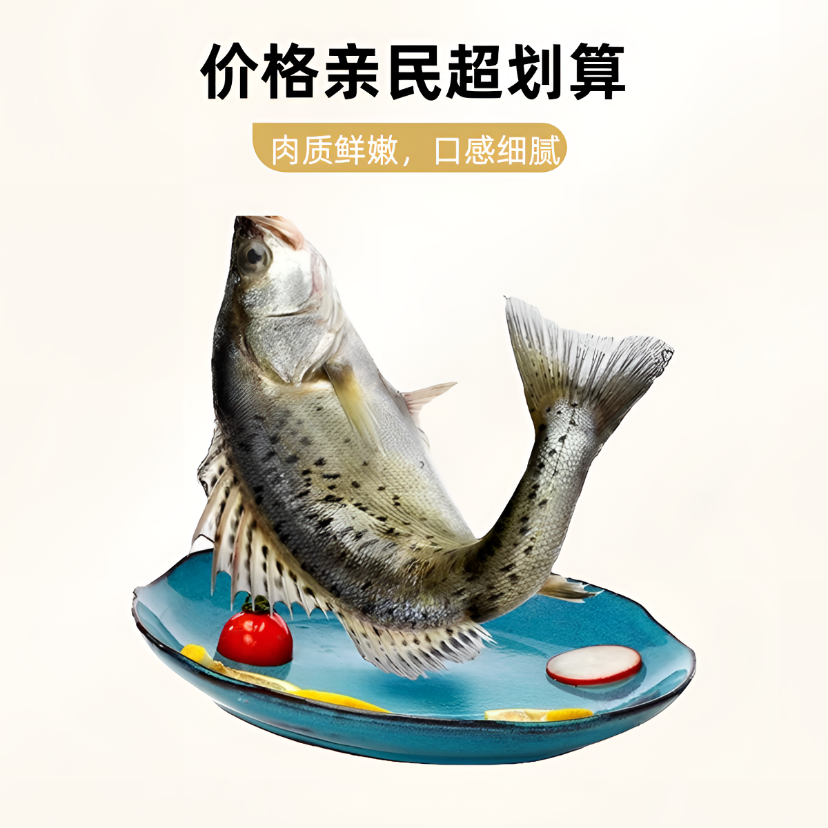 深海鲈鱼单条一斤四两左右【到手三条】