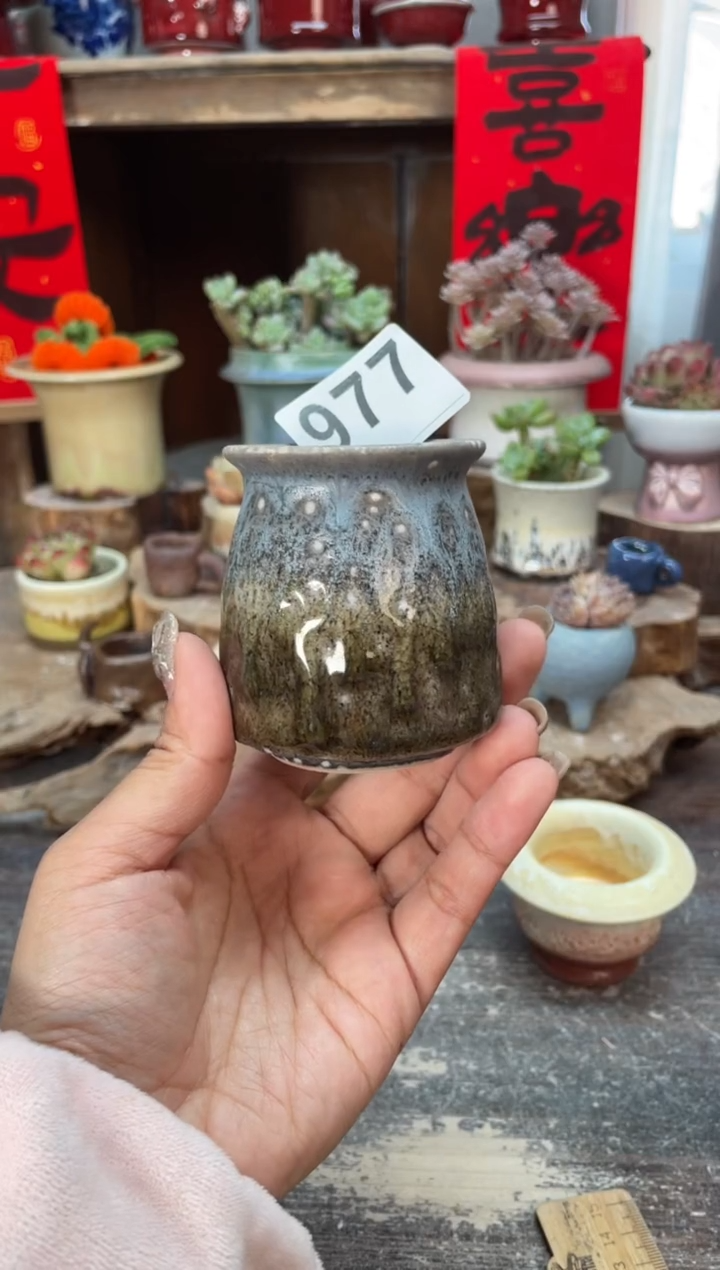 【闪购商品】摆件977知木小芳花盆