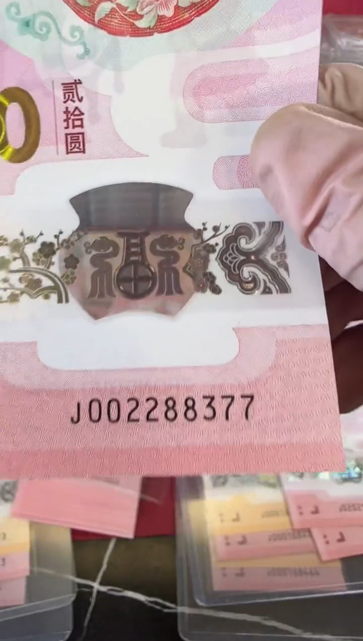 【闪购商品】塑料2025蛇钞单张裸啊啊啊啊啊啊