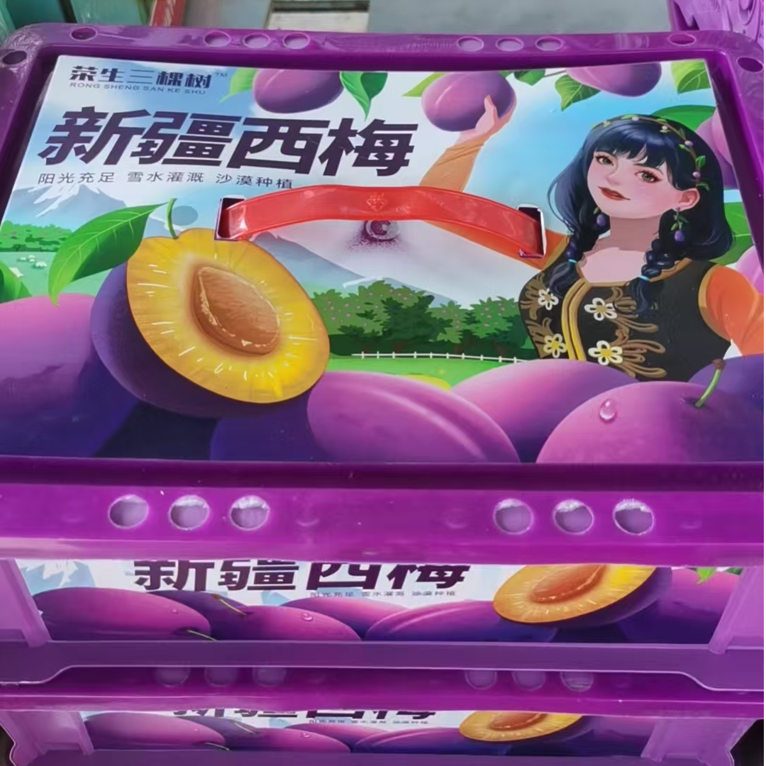 新疆西梅 约4斤左右一箱