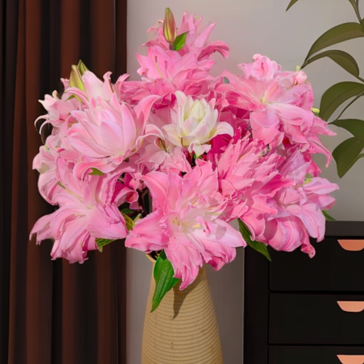 云南木木花卉 双钻 粉色稀有重瓣香水百合花 浓香鲜花水养插花