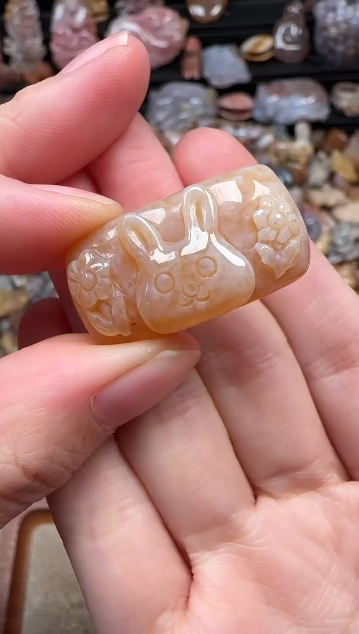 颈饰未镶嵌硅化珊瑚（珊瑚玉）757