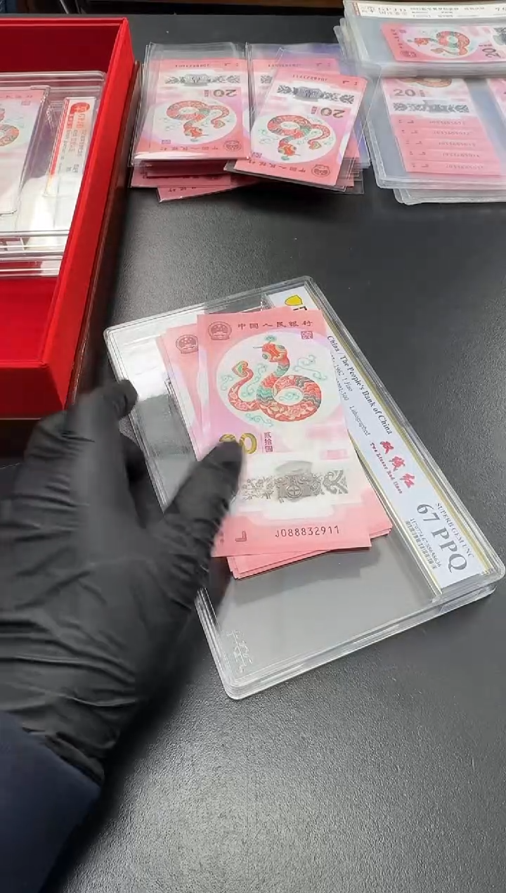 【闪购商品】塑料PCGS-发财灵蛇标十无47...