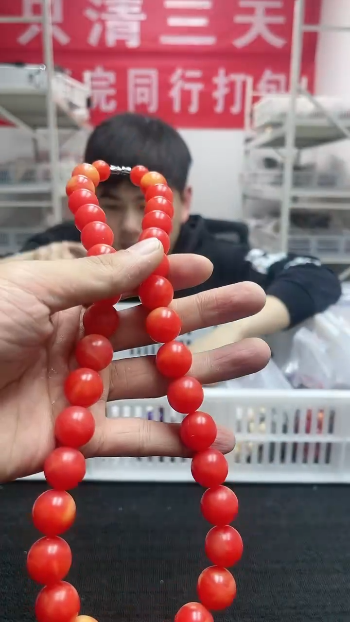 【闪购商品】硅化珊瑚颈饰未镶嵌精美项链191